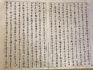 OneHub Growth - JiDaZhuang Caligraphy 03