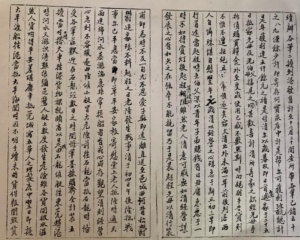OneHub Growth - JiDaZhuang Caligraphy 04