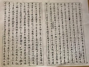 OneHub Growth - JiDaZhuang Caligraphy 05