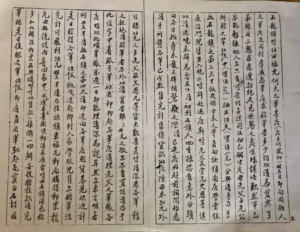 OneHub Growth - JiDaZhuang Caligraphy 07